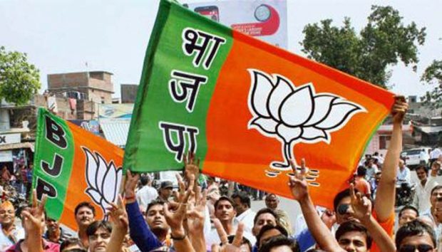 BJP Victory-700.jpg